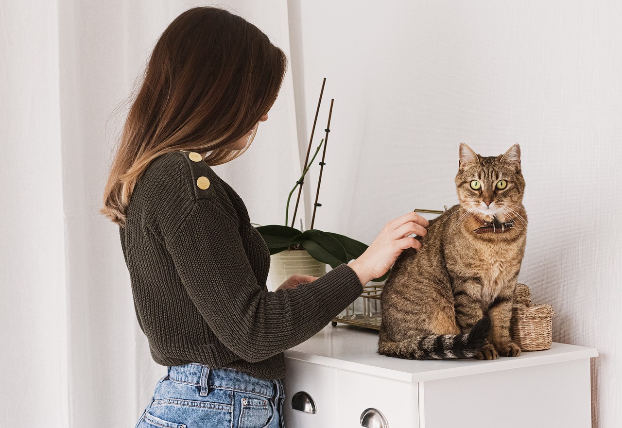 How to Teach Your Pet to Enjoy Grooming with Positive Reinforcement